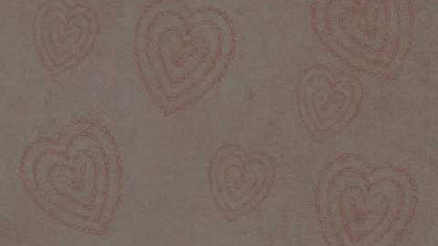 My Jimmy 8/11/1965 - 1/17/2016