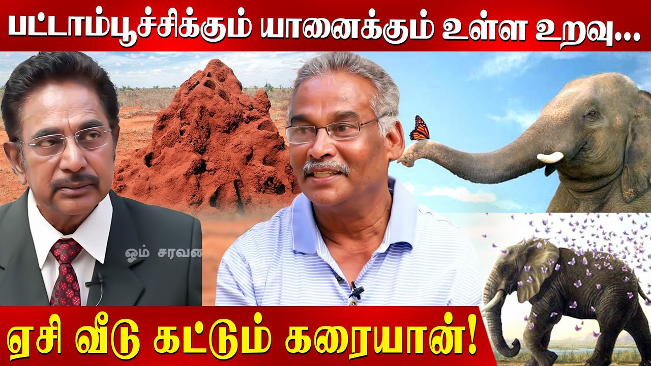 இனப்பெருக்க காலத்தில் எலி , பெண்கள் என எல்லாரும் இத சாப்பிடுவாங்க..| Actor Rajesh| kovaisathasivam |