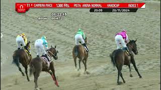 Vidéo de la course PMU LAST TANGO H.