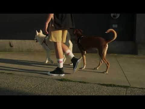 rokit x converse chuck 70