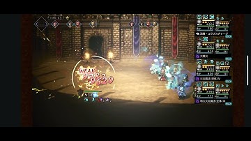 Fire Damage Test! Octopath Traveler: COTC