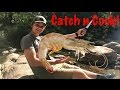 Primitive DIY Prawn Trap - Catch n Cook!