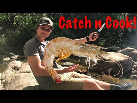 Primitive DIY Prawn Trap - Catch n Cook! 