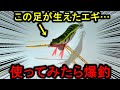 「もはやエビ」と言われる新作エギを試したら、いとも簡単に爆釣した。