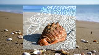 Soft waves crashing on seashell adorned beach /// Nature ambience drawing relaxation screenshot 4