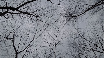 max msp music techno ambient