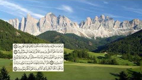 صفحة-217 page سعد الغامدي - -سورة يونس -10-Jonas) Yunus)