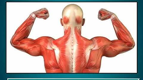 Incredible Science Class 2-Chapter 5-Page Number 49