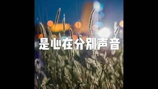201906 是心在分别声音50992
