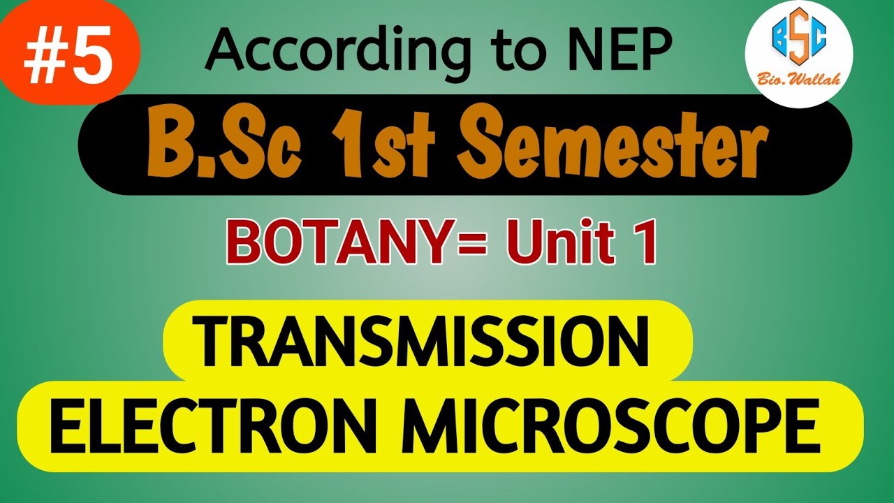 Transmission Electron Microscope ( TEM ) | Microscope Bsc 1st Sem | 