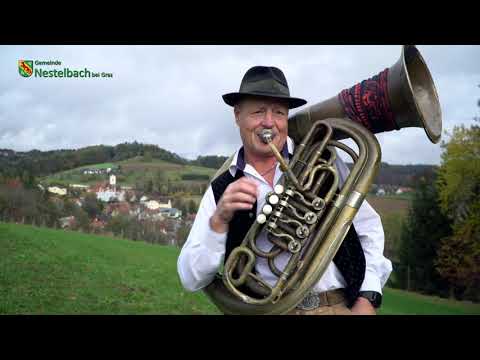 Die Neujohrgeiger feat DJ Chiquita - NESTELBACH WIRD IMMER BESSER