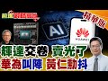 中美競爭加劇及科技戰