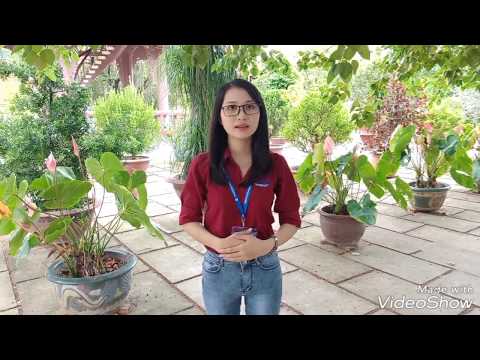 Video Bài tập thực hành Hướng dẫn du lịch của sinh viên Lê... - youtube