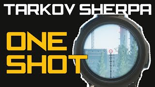 Tarkov Sherpa: Long Shot One Tap at Shoreline!! | Escape From Tarkov Highlights Tarkov Sherpa: Long Shot One Tap at Shoreline!! | Escape From Tarkov Highlights