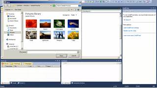 Details Csharp kurdish majid hamarahm 8 Update