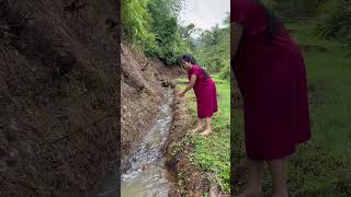 Kenging lauk emas ageng baraya #shortsvideo #rismanirmalasari #gadisdesa