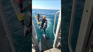 Red Snapper Throwdown - Flipper's Diving Spearfishing