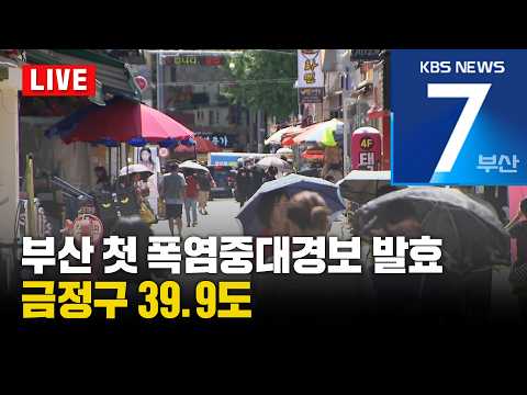 [<strong>LIVE</strong>] KBS 뉴스7 <strong>부산</strong> - 2026.07.30(목)