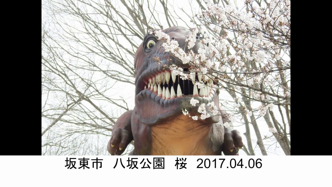 桜満開 恐竜たちもウキウキわくわく 八坂公園 In 坂東市 17 04 06 Youtube