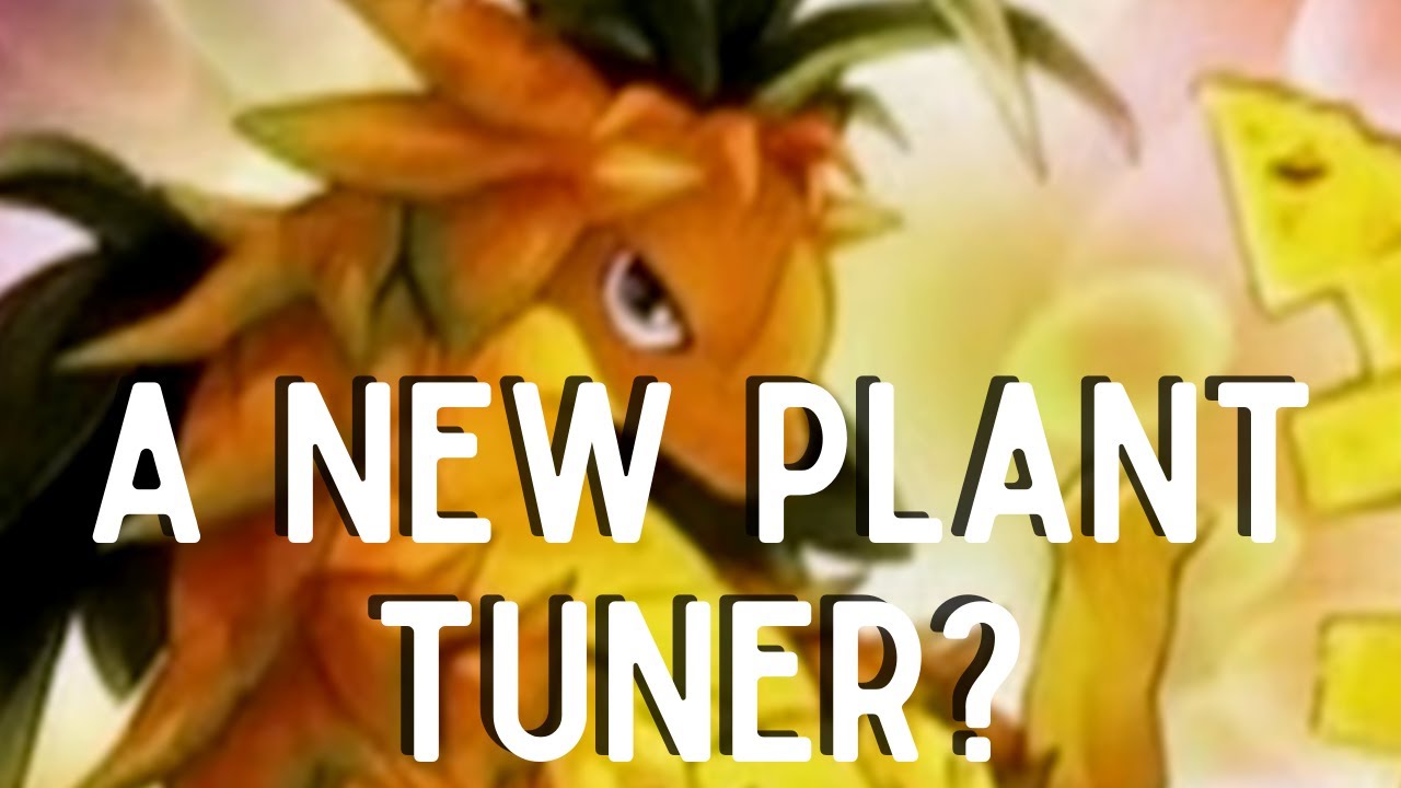 Yu-Gi-Oh! Burst of Destiny's Final Round of New Cards - Including a potentially WILD Plant Tuner