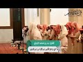 تلاوة القارئ بدر التركي ماتيسر من سورة سبأ 