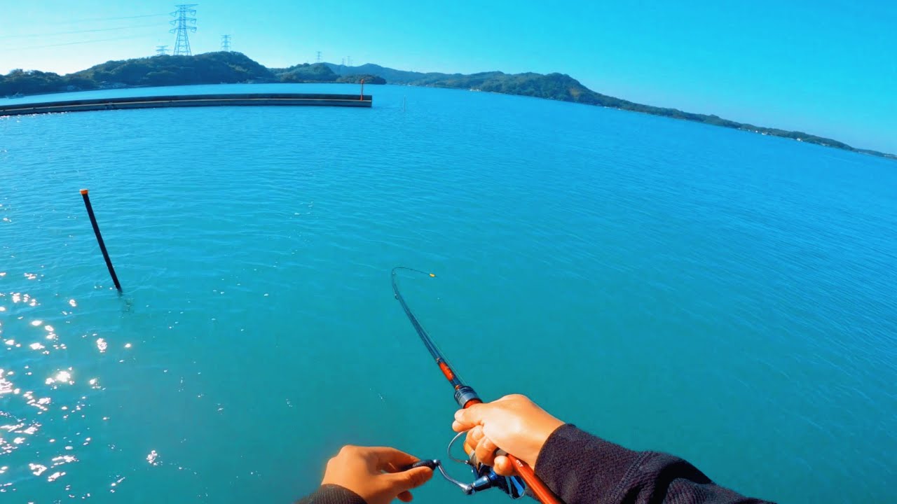 【熊本・戸馳島】　初冬の朝マズメに釣れる高級魚。