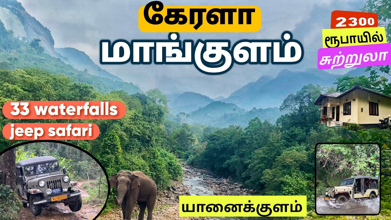 கேரளா மாங்குளம் ,ஆனைக்குளம்,2300 ரூபாயில் சுற்றுலா🤩 யாருக்கும் தெரியாத சுற்றுலா தளம் kerala mankulam