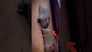 ¿Esto es real? #shorts #Tecnocurioso