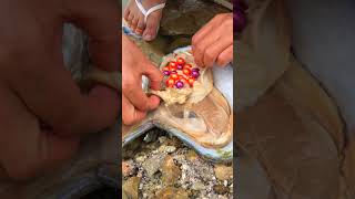 ❤️Girls Searching For Mutated Giant River Clams