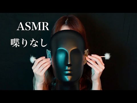 【ASMR】喋りなしの眠れる耳かき😴【ダミーヘッドマイク】