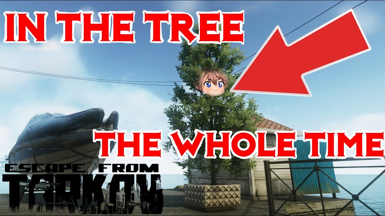 Final PMCs for Capturing Outposts | Escape From Tarkov