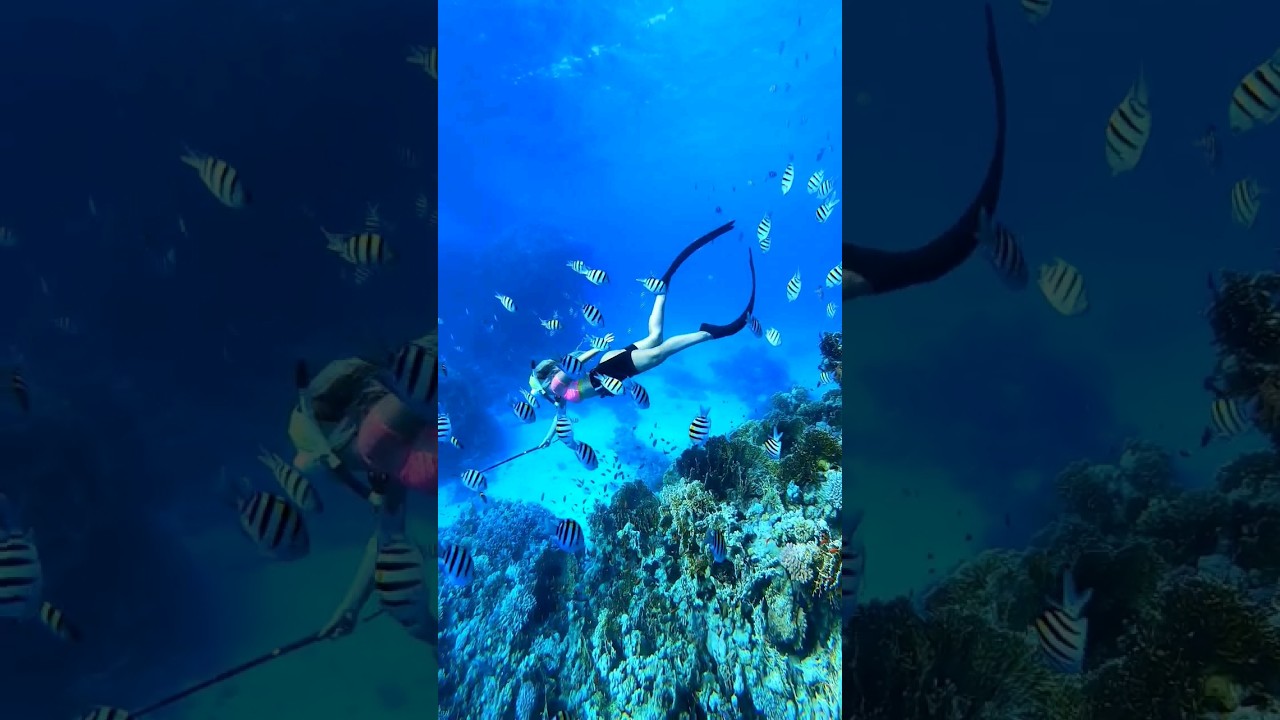 new day new dive 😘🧜‍♀️ 