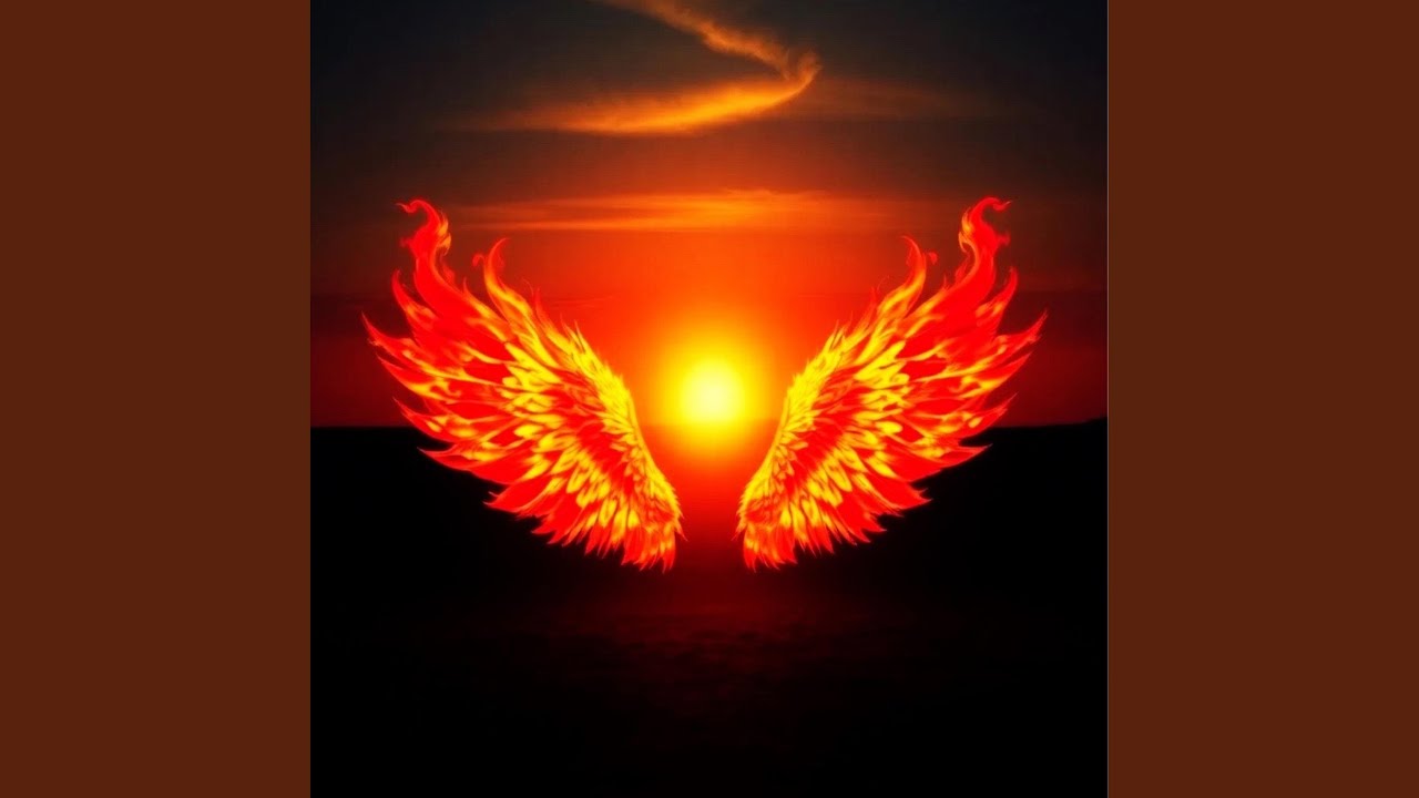 Fly towards the Sunset