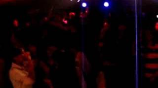 Oies Sauvages Bois Et Borsu