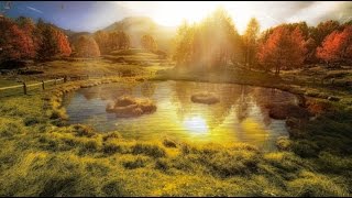 🌺🌸 Android Relax and Sleep Nature Sounds App 🌸🌺