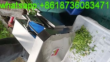 video of vegetable cutter machine/fresh leaves cutting machine celery green onion cutter