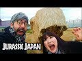 Dinosauri Giapponesi! - Vivi Giappone