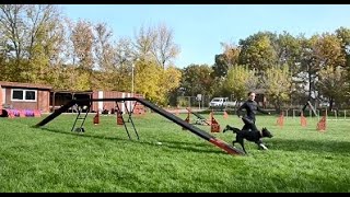 Flow - Agility Training & Running Contacts