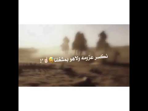المعمر من بني تميم يحكمون بني مالك بجيله