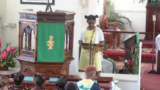 Livestream or Fifteenth sunday after Pentecost