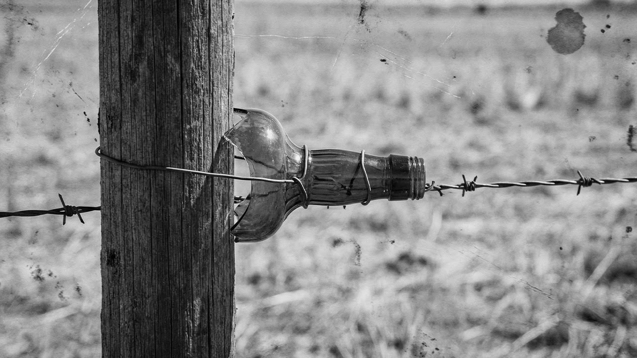 Farmers Couldn't Afford Telephone Poles—So They Turned Barbed Wire Fences Into The Prairie Internet