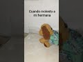 cuando molesto a mi hermana