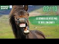 Le sérieux ce n'est pas ce que l'on croit !