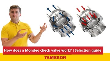 Mondeo stainless steel check valve | How do they work & Selection guide | Tameson