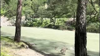 Hum Chhod Chale Hai Mehfil Ko ((Jhankar))