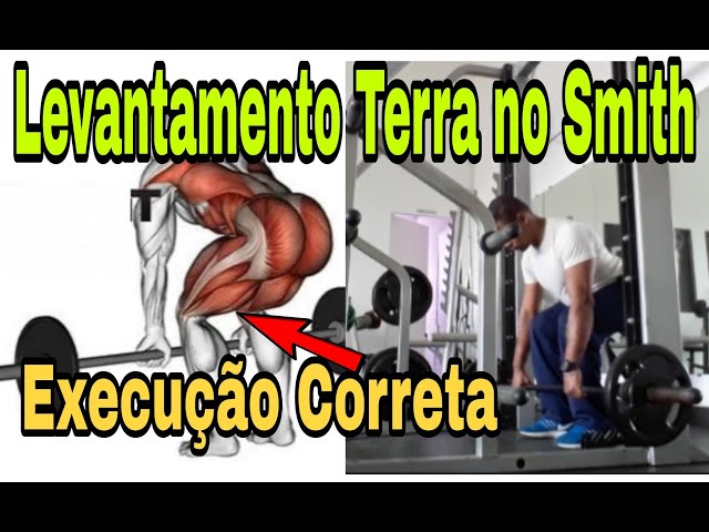 Melhor invenção, terra sumo no smith 🤓 #academia #treino