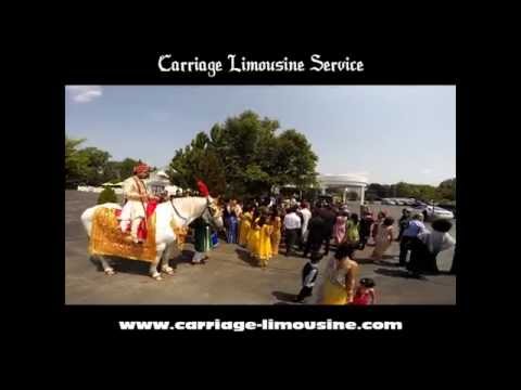 Indian Baraat Horse - Indian Wedding Horse 19 - Carriage LimTipsine Service
