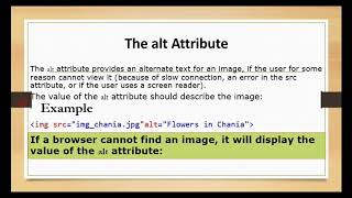 Html Basic Html Images