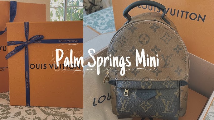 palm springs mini mod shots