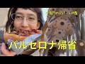 バルセロナプチ帰省 | とうとう完成?サグラダ・ファミリア⛪️